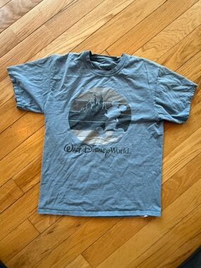 Hanes Blue-Gray Walt Disney World Graphic Tee